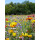 Blumenwiese "Bunte Mischung" 30m²